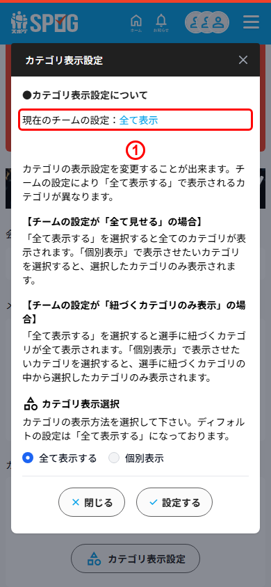 現在のチームの設定の表示