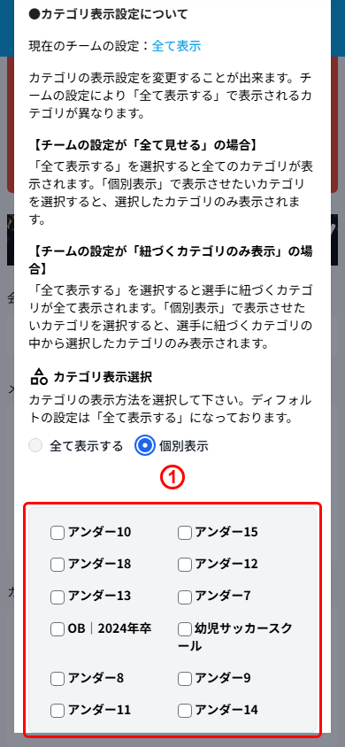 個別表示のカテゴリチェックボックス一覧
